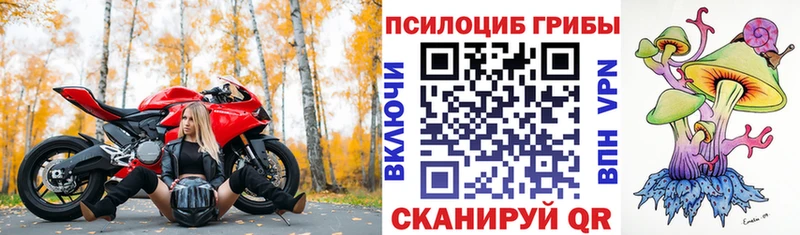 Купить где  Вязьма  Псилоцибиновые грибы Psilocybine cubensis 